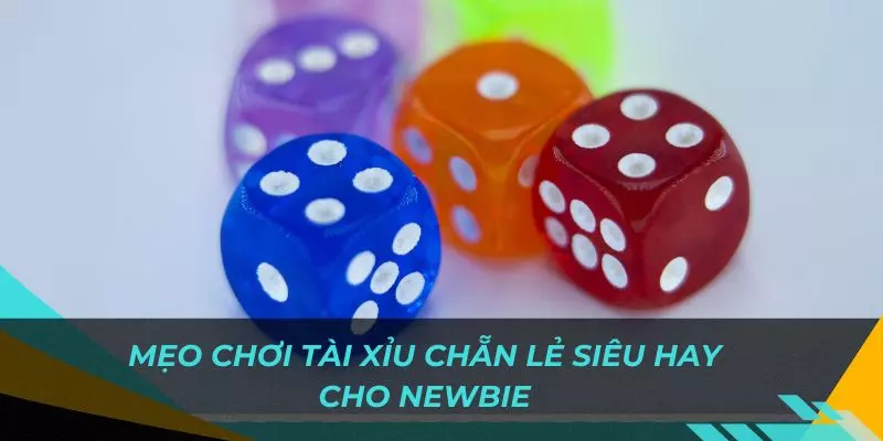 Vai trò của việc áp dụng các mẹo chơi hiện hành vào trong quá trình cược