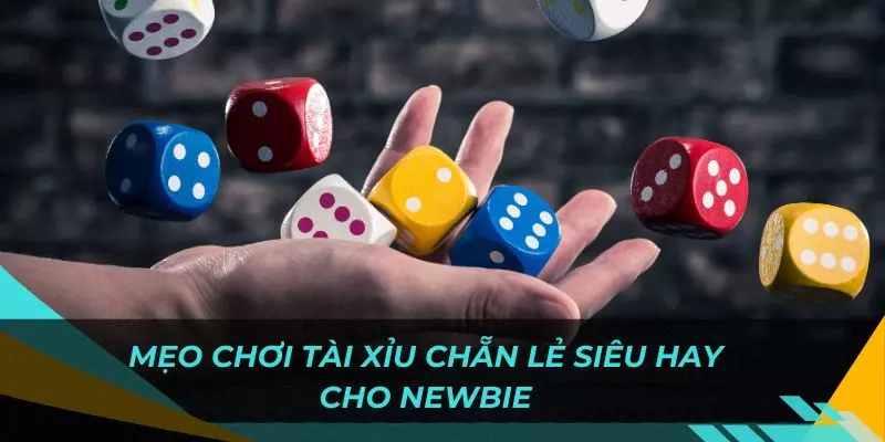Bật mí vài mẹo chơi siêu hiệu quả trong năm cho người chơi