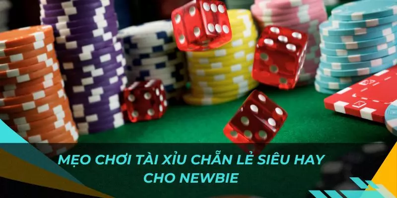 Bật mí một vài mẹo chơi game tài xỉu siêu hot cho newbie