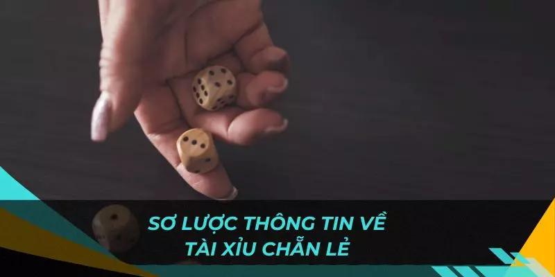 Sơ lược nhất về thông tin về trò chơi tài xỉu